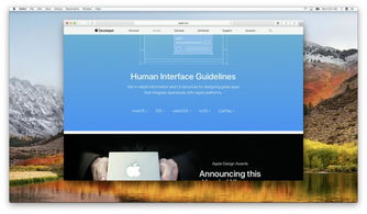 WWDC 設(shè)計(jì)分會(huì) 跨平臺(tái)設(shè)計(jì)中的平臺(tái)適配與風(fēng)格協(xié)調(diào)